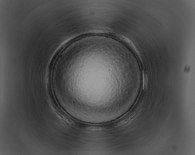 X0000095510435200801041204