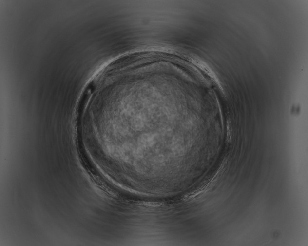 X0000095510436200801041204