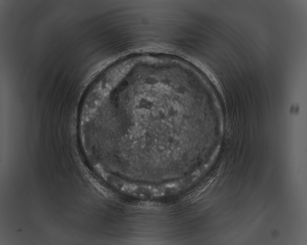X0000095510437200801041204