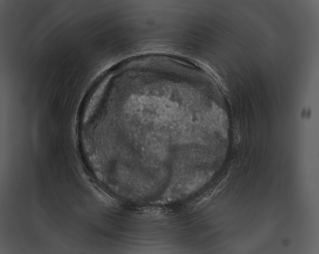 X0000095510439200801041204