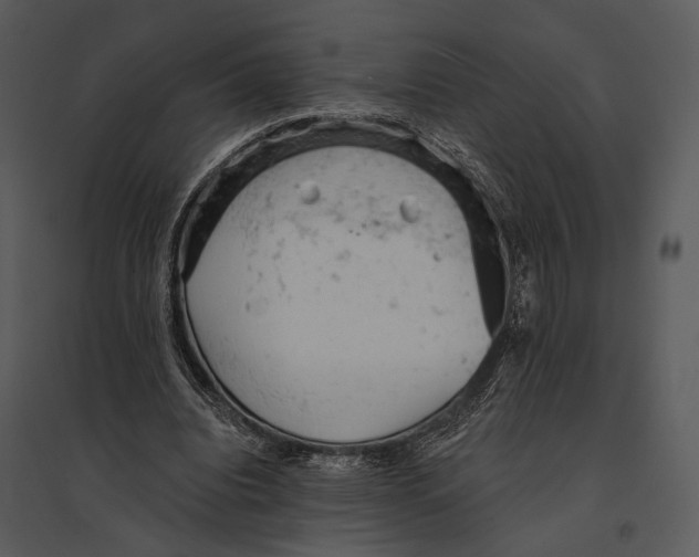 X0000095510440200801041204