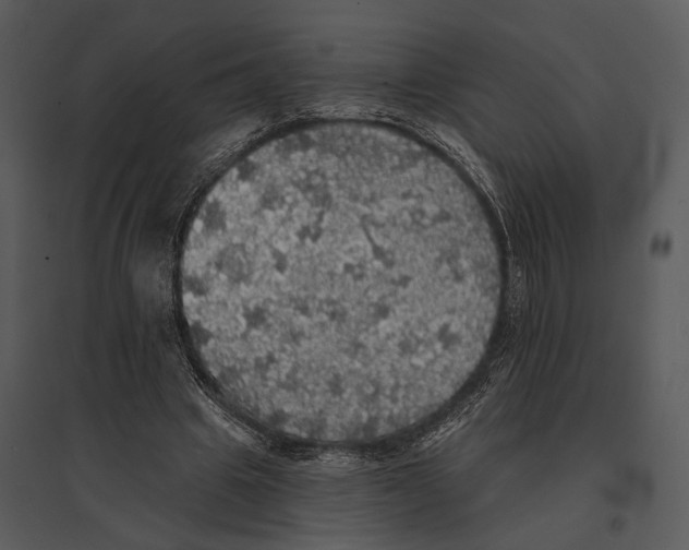 X0000095510441200801041204