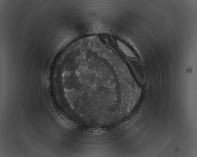 X0000095510443200801041204