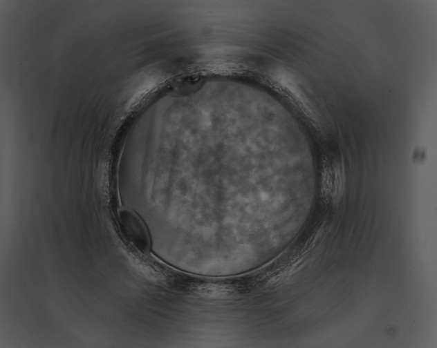 X0000095510444200801041204