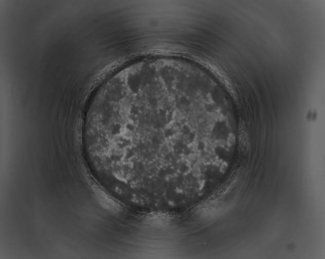 X0000095510445200801041204