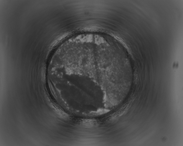 X0000095510446200801041204