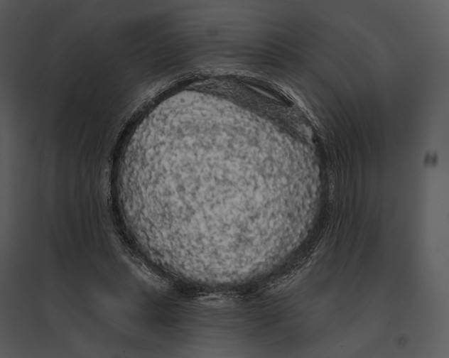 X0000095510447200801041204