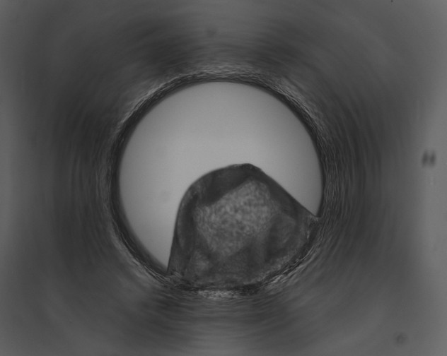 X0000095510448200801041204