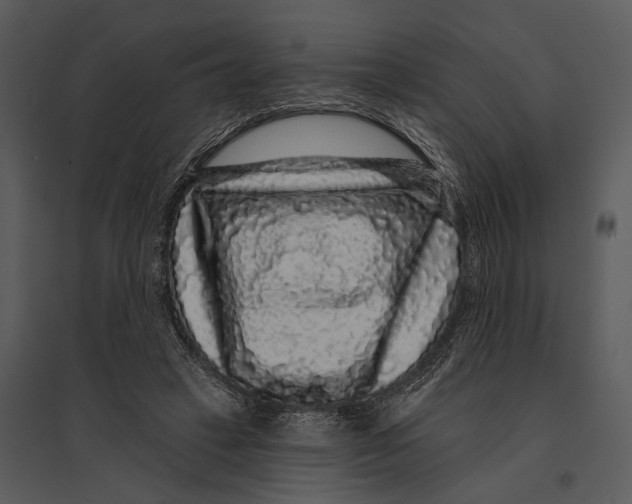 X0000095510449200801041204