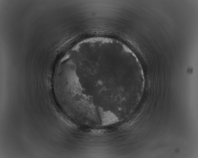 X0000095510450200801041204