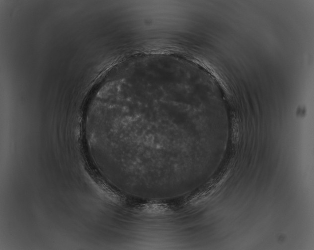 X0000095510451200801041204