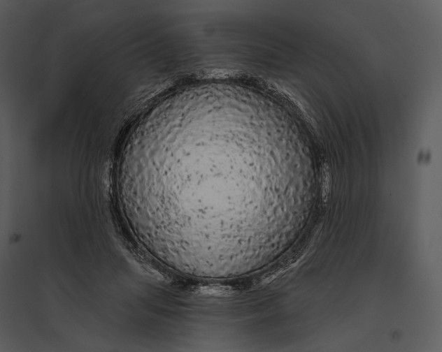 X0000095510455200801041204