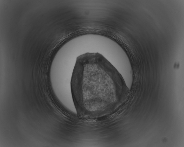 X0000095510456200801041204