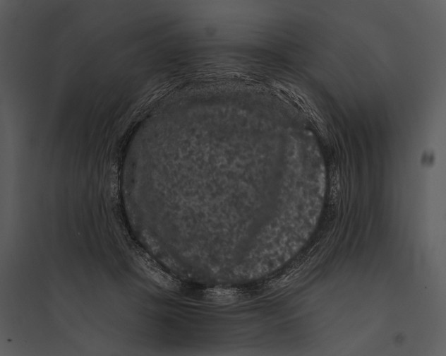X0000095510457200801041204