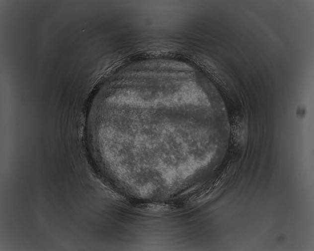 X0000095510458200801041204