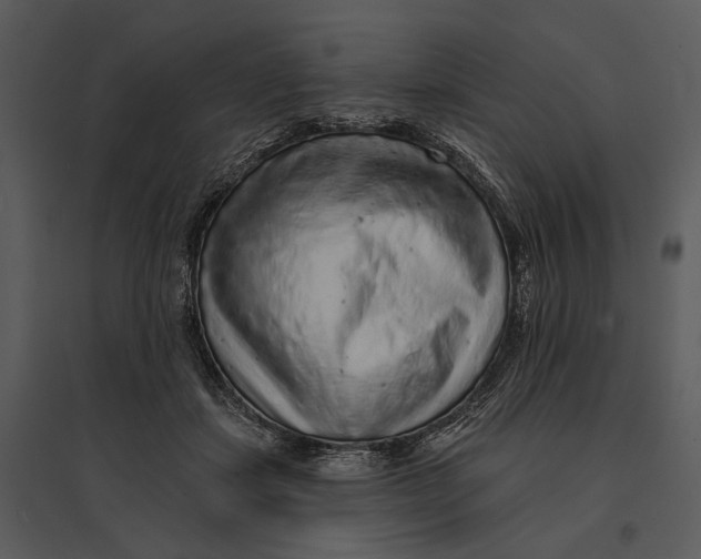 X0000095510459200801041204