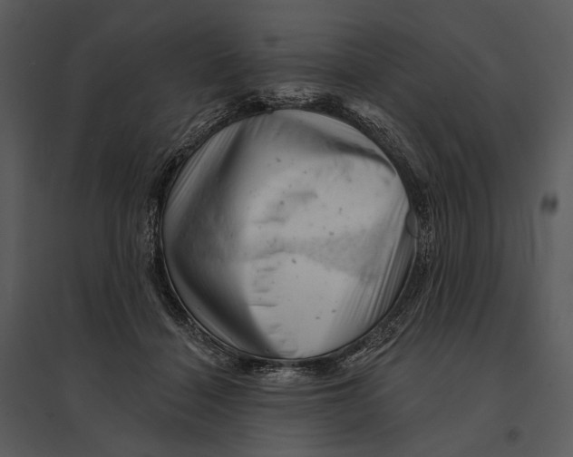 X0000095510460200801041204