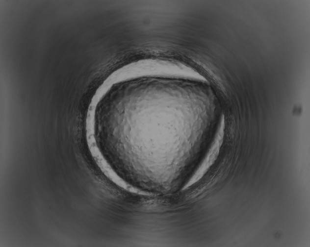 X0000095510461200801041204