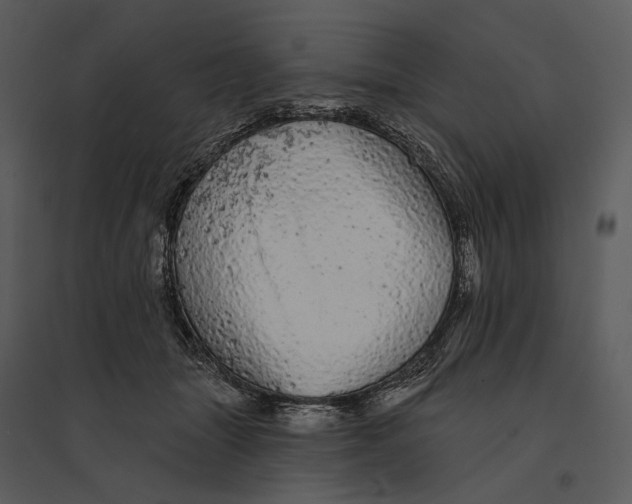 X0000095510463200801041204