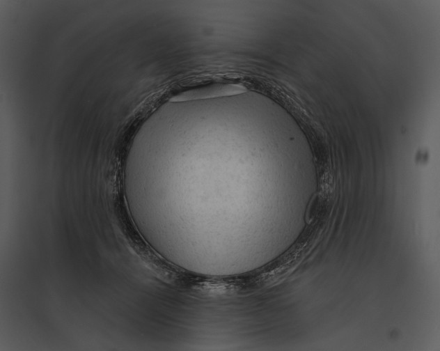 X0000095510464200801041204