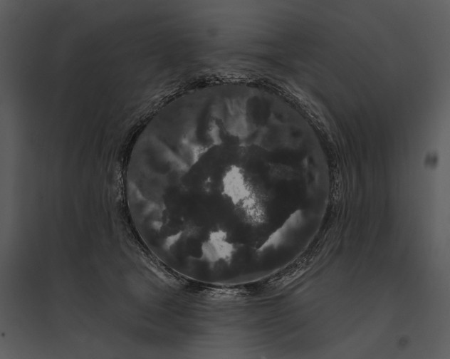 X0000095510465200801041204