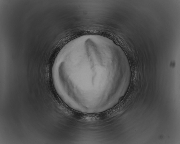 X0000095510466200801041204