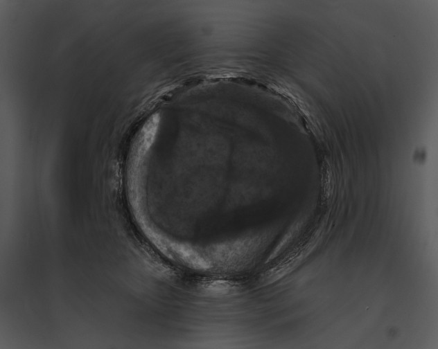 X0000095510467200801041204