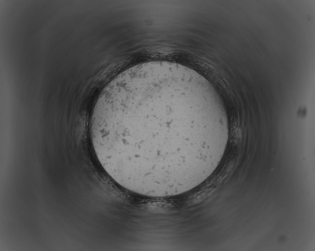 X0000095510468200801041204