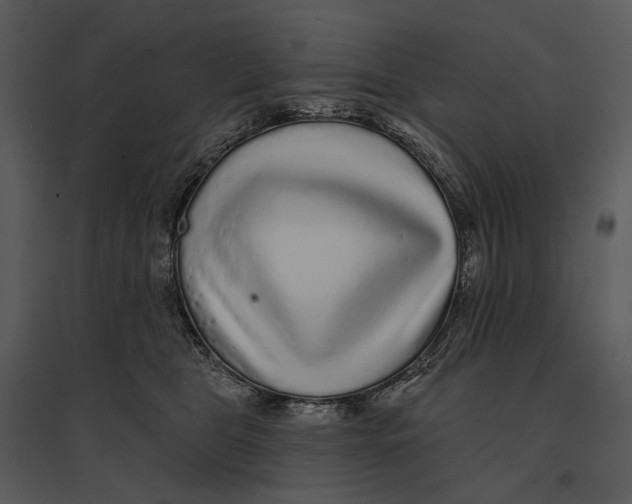 X0000095510469200801041204