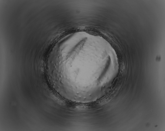 X0000095510470200801041204