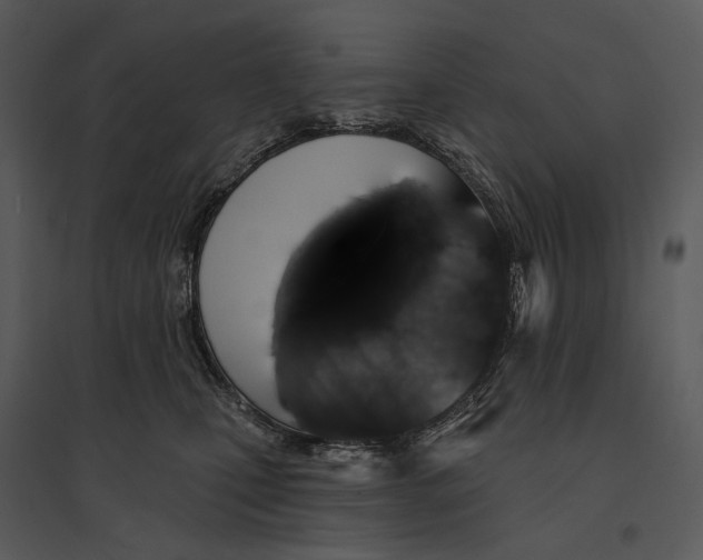 X0000095510471200801041204