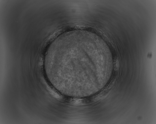 X0000095510472200801041204