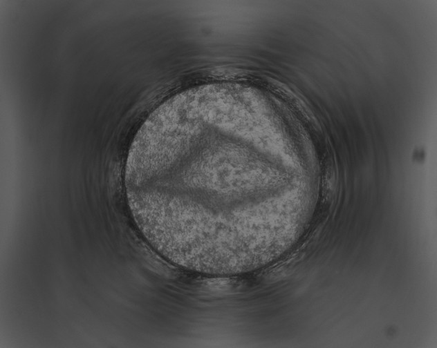 X0000095510473200801041204