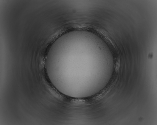 X0000095510476200801041204