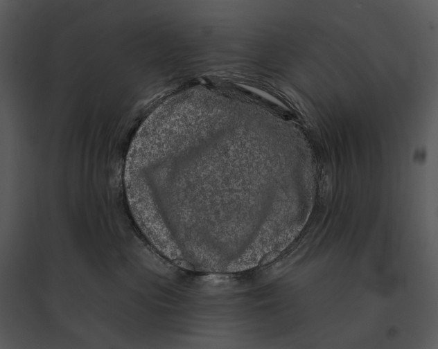 X0000095510477200801041204
