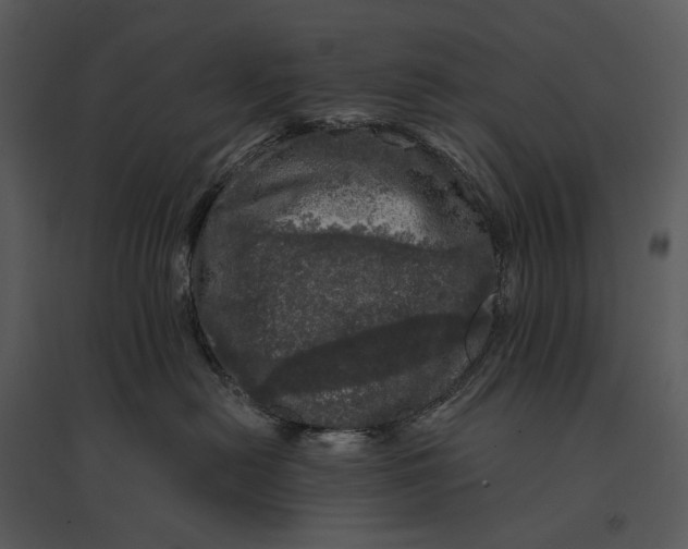 X0000095510478200801041204