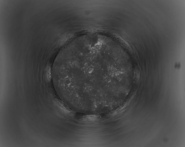 X0000095510479200801041204
