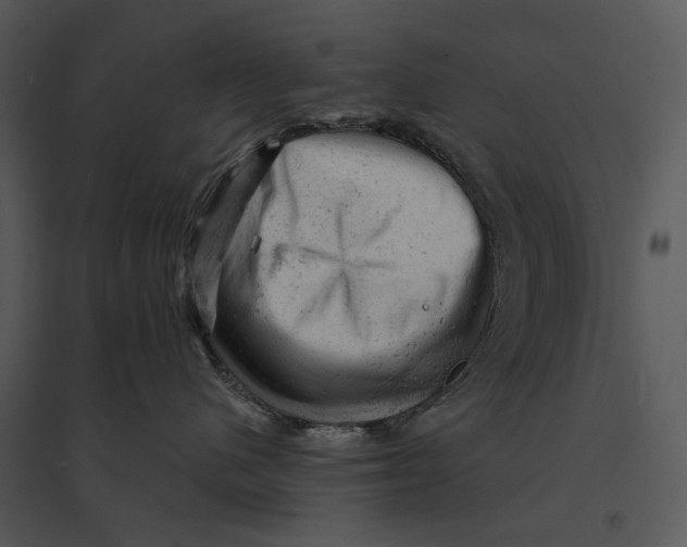 X0000095510480200801041204