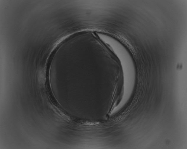 X0000095510484200801041204