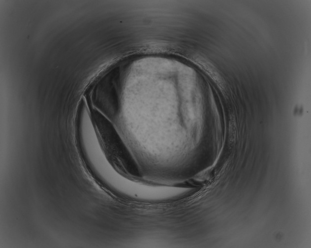 X0000095510485200801041204