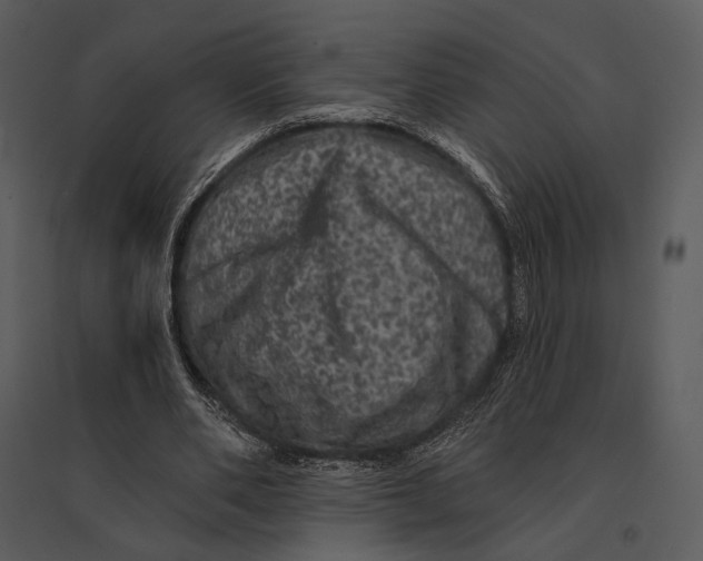 X0000095510486200801041204