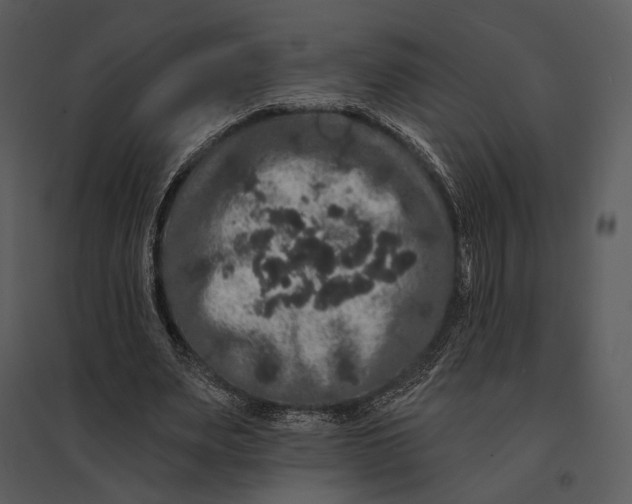 X0000095510487200801041204