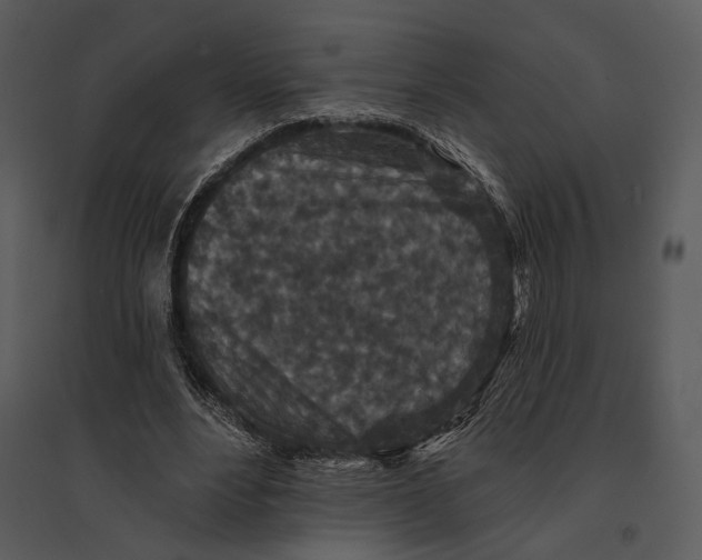 X0000095510488200801041204