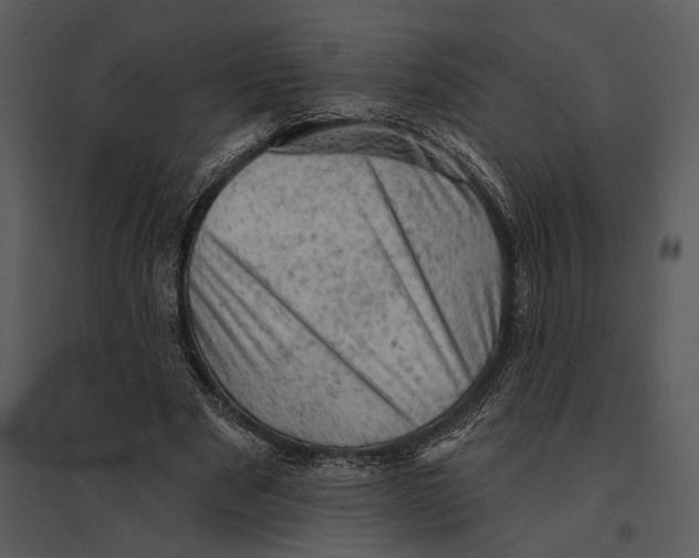 X0000095510489200801041203