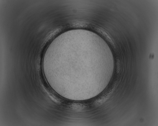 X0000095510490200801041203