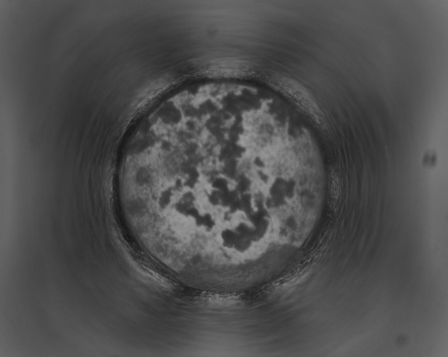 X0000095510491200801041203