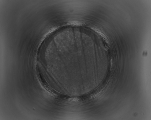 X0000095510492200801041203