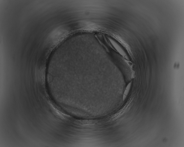 X0000095510493200801041203
