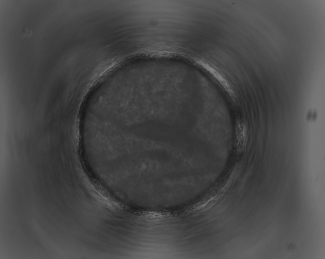 X0000095510494200801041203