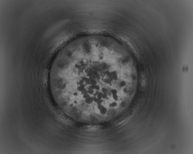X0000095510495200801041203